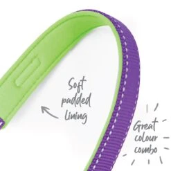 Active Dog Lead - Purple & Lime -Kazoo Store Kazoo Active Leads Purple Lime 14