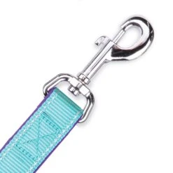 Active Dog Lead - Aqua & Purple -Kazoo Store Kazoo Active Range lead hook 09