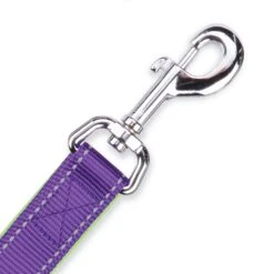 Active Dog Lead - Purple & Lime -Kazoo Store Kazoo Active Range lead hook 15