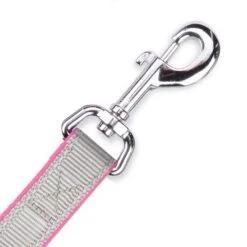 Active Dog Lead - Silver & Pink -Kazoo Store Kazoo Active Range lead hook 21