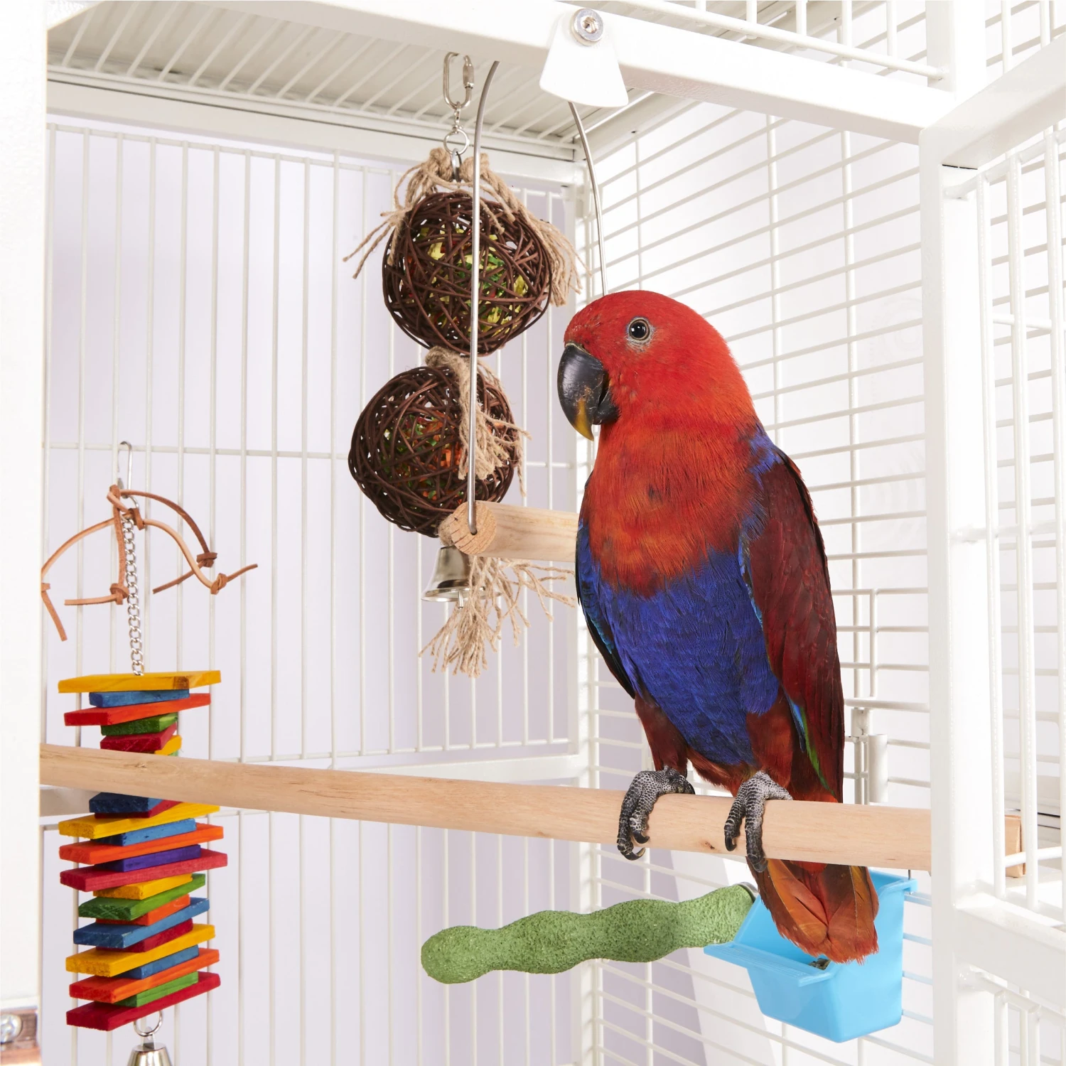 Wooden Perch 11 Wooden Perch - Image 9