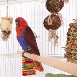 Hanging Foraging Crinkle Vine -Kazoo Store Kazoo BirdLS 13 688712a6 3aa9 420d bd93 07dfb20fc653