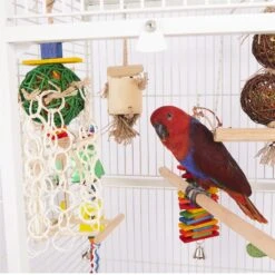 Wooden Perch 18 Wooden Perch -Kazoo Store Kazoo BirdLS 14