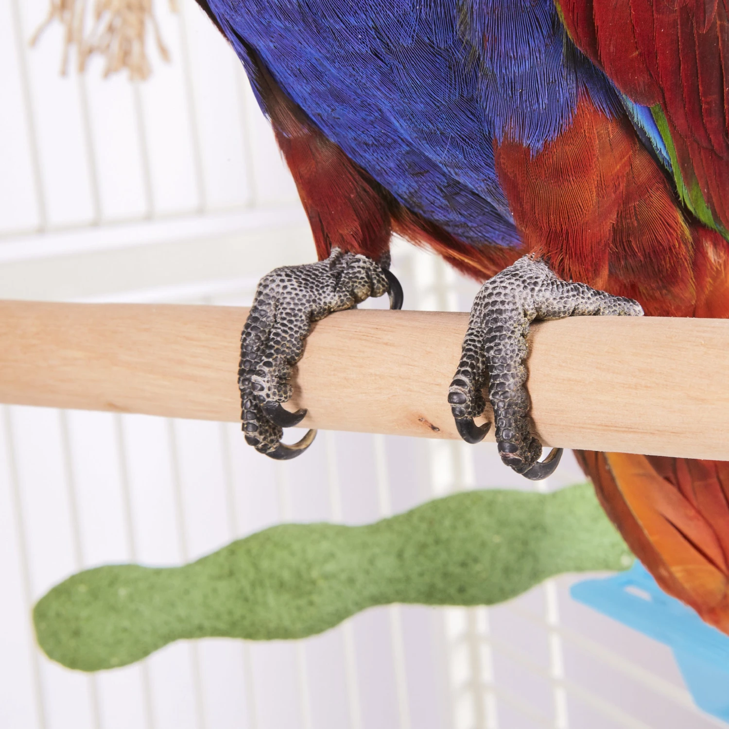 Wooden Perch 4 Wooden Perch - Image 2