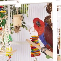 Wooden Perch 16 Wooden Perch -Kazoo Store Kazoo BirdLS 18 3d76a2e8 f213 42e9 9684 f05612470941