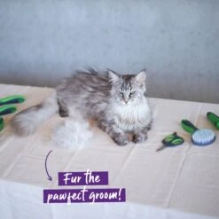 Shedding Tool -Kazoo Store Kazoo CatGroomingSet Doodles2