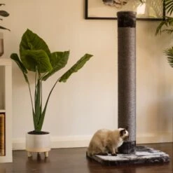 Cat Scratch Post - Grey - Large -Kazoo Store Kazoo Cat ScratchPost L 2