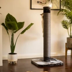 Cat Scratch Post - Grey - Large -Kazoo Store Kazoo Cat ScratchPost L 4