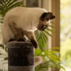 Cat Scratch Post - Grey - Large -Kazoo Store Kazoo Cat ScratchPost L 7