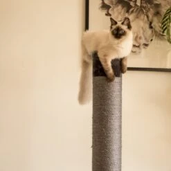 Cat Scratch Post - Grey - Large -Kazoo Store Kazoo Cat ScratchPost L 9