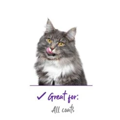 Cat Slicker Brush -Kazoo Store Kazoo Catbrush