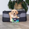 Cave Cube Dog Bed -Kazoo Store Kazoo CaveBed LS4
