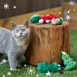 Christmas Cat Toy - Silvervine Tree 11 Christmas Cat Toy - Silvervine Tree -Kazoo Store Kazoo ChristmasCatToys LS15 52e9d031 4230 4837 9cfc 771b6bcd8a83