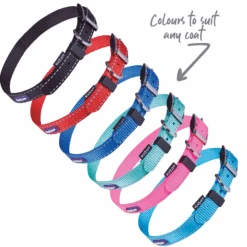 Classic Dog Collar - Red -Kazoo Store Kazoo ClassicCollar 24 fd93c0fd 44e4 4d66 9572 d5fea578017a