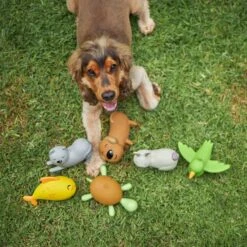 Vivi The Bunny - Medium Squeaky Dog Toy 7 Vivi The Bunny - Medium Squeaky Dog Toy -Kazoo Store Kazoo MacotLatexToys Doodles2