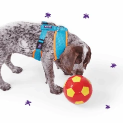 Active Soft Walking Dog Harness - Ocean Sunrise -Kazoo Store Kazoo OceanSunrise D3