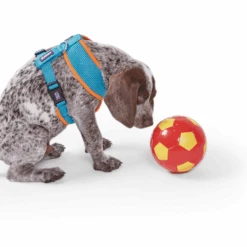 Active Soft Walking Dog Harness - Ocean Sunrise -Kazoo Store Kazoo OceanSunrise D4