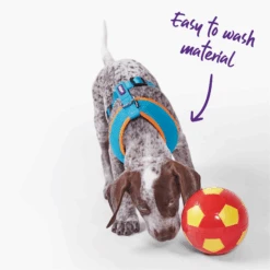 Active Soft Walking Dog Harness - Ocean Sunrise -Kazoo Store Kazoo OceanSunrise D5