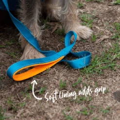 Active Dog Lead - Ocean Sunrise -Kazoo Store Kazoo OceanSunrise LS8