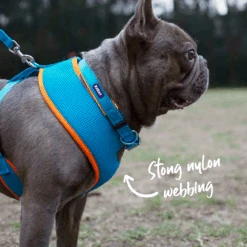 Active Soft Walking Dog Harness - Ocean Sunrise -Kazoo Store Kazoo OceanSunrise LS9