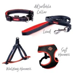 Active Soft Walking Dog Harness - Slate & Orange -Kazoo Store Kazoo Orange Slate Active