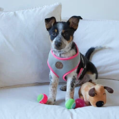 Active Soft Walking Dog Harness - Silver & Pink -Kazoo Store Kazoo Pink SilverHarness LS 9