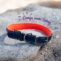 Active Dog Collar - Slate & Orange -Kazoo Store Kazoo Slate Orange D1