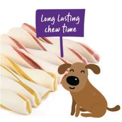 Spiral Twist - 8 Pack -Kazoo Store Kazoo SpiralTwist 19