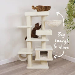 Cloud Nine Catnap Tower -Kazoo Store Kazoo 15596 CloudNinePlayground 60
