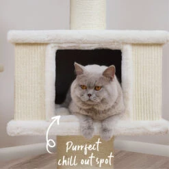 Cloud Nine Catnap Tower -Kazoo Store Kazoo 15596 CloudNinePlayground 66