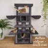 Scratchelor Pad Cat Tree - Grey -Kazoo Store Kazoo 15599 ScratchelorPadCatTree 76