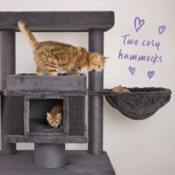 Scratchelor Pad Cat Tree - Grey -Kazoo Store Kazoo 15599 ScratchelorPadCatTree 79