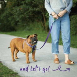 Active Walking Dog Harness - Purple & Lime -Kazoo Store Spring22 Carousel3 13