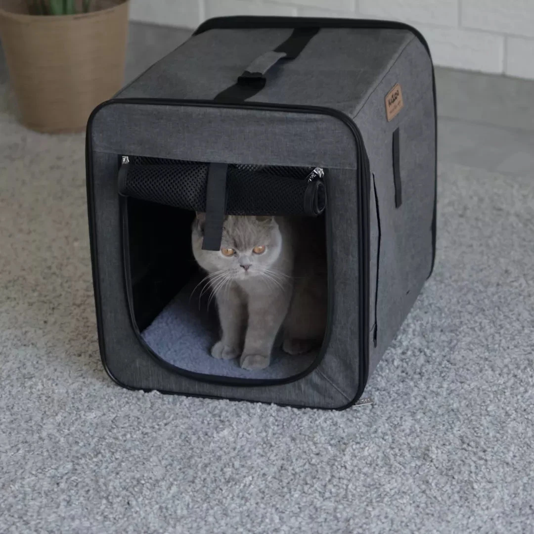 Premium Pet Travel Crate 5 Premium Pet Travel Crate - Image 3