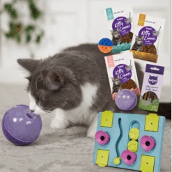 Clever Cat Enrichment Bundle -Kazoo Store temp 3keCZLl